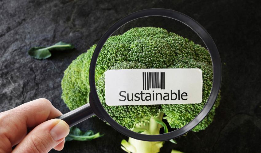 food-industry-trends-2022-sust-food.jpg