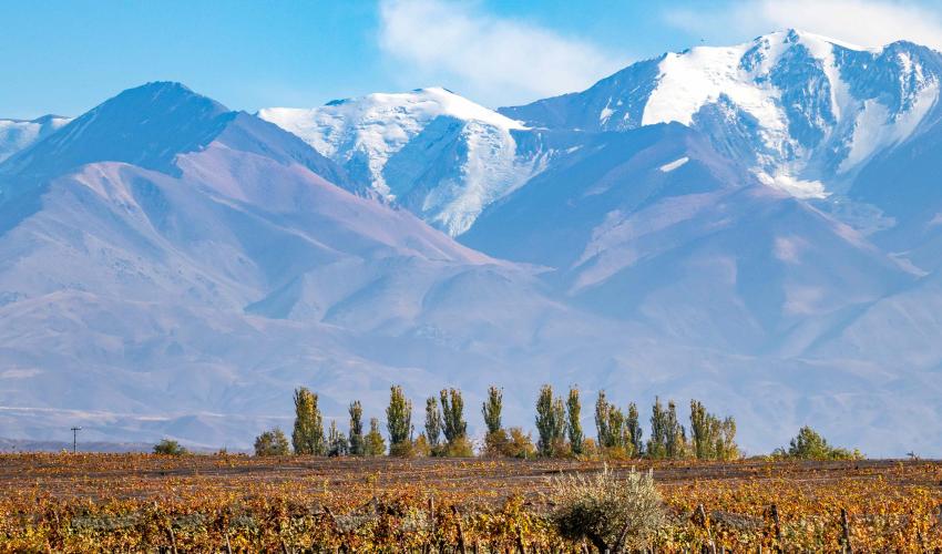argentina-farms.jpg