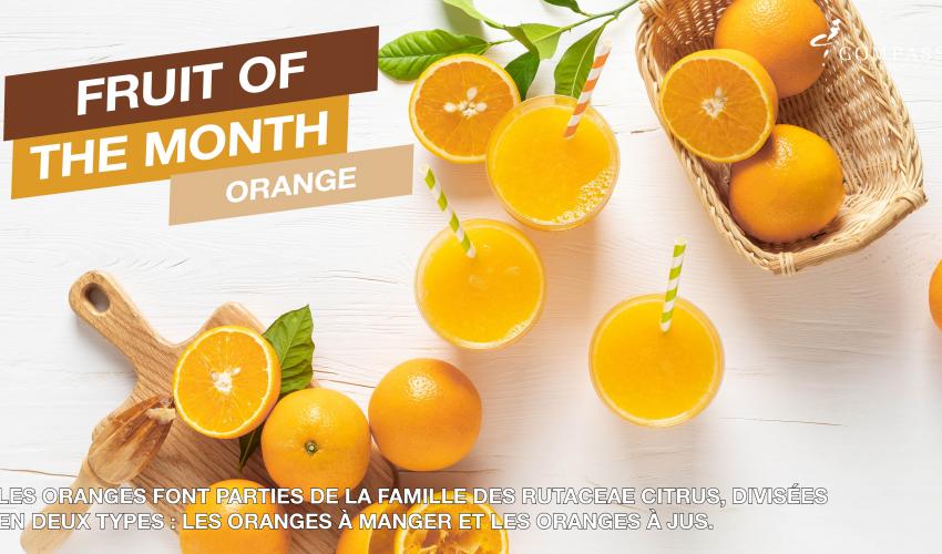 fruit du mois : orange