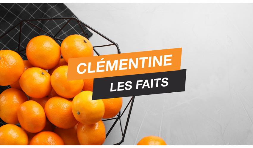 Fruit du mois d’octobre : la clémentine