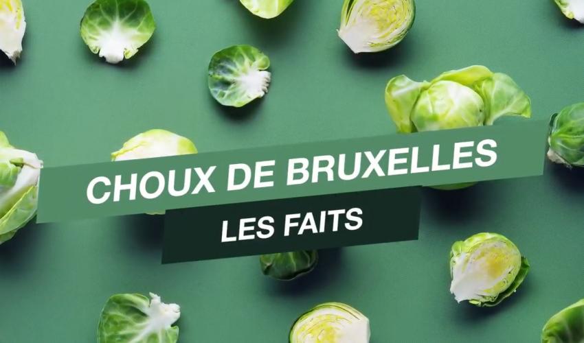 Choux : les faits