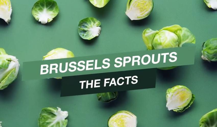 Brussels sprouts : the facts