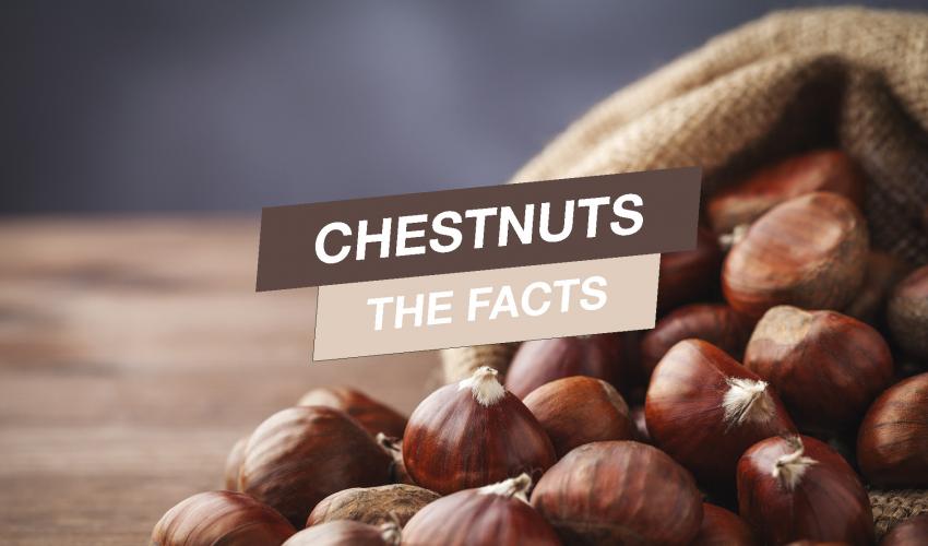 sackful of delicious chestnuts in close-up