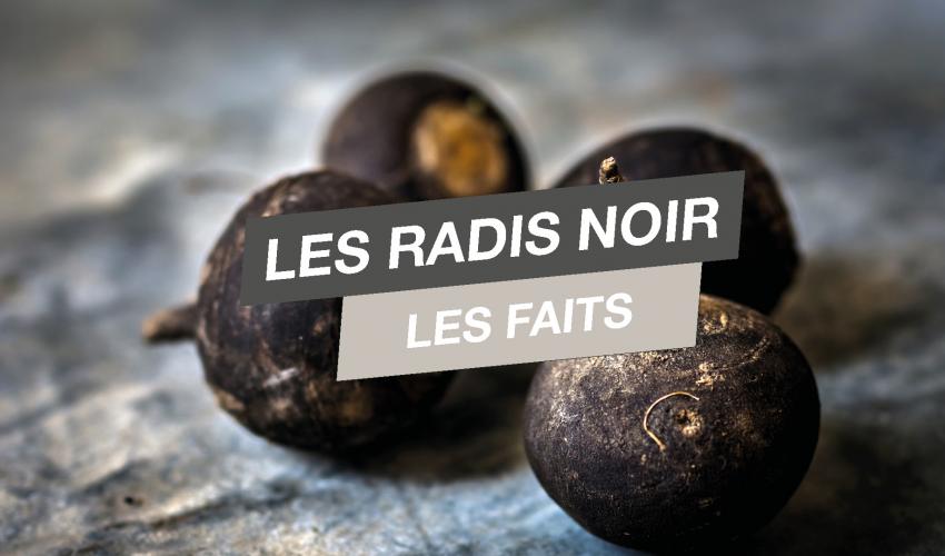 Le Radis Noir: les faits