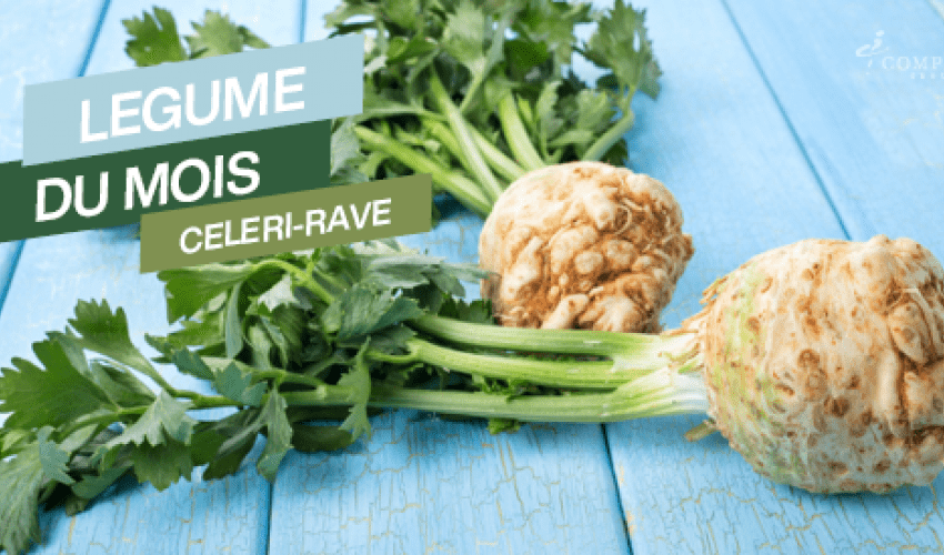 Légume du mois de février : le céleri-rave,